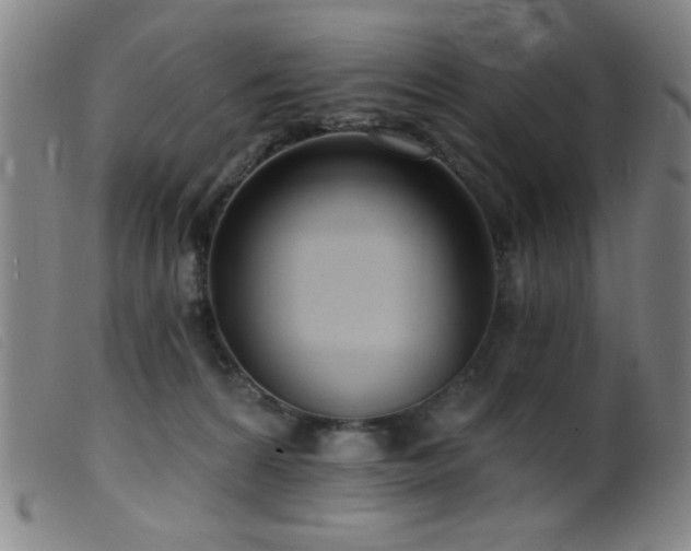 X0000099540224200805161435