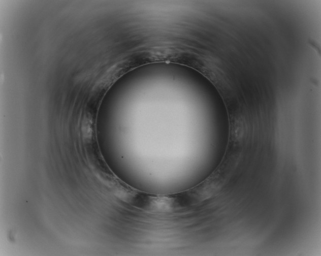 X0000099540226200805161435