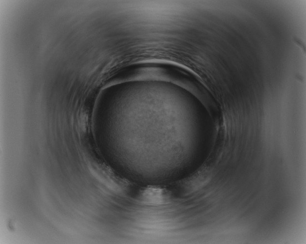 X0000099540227200805161435