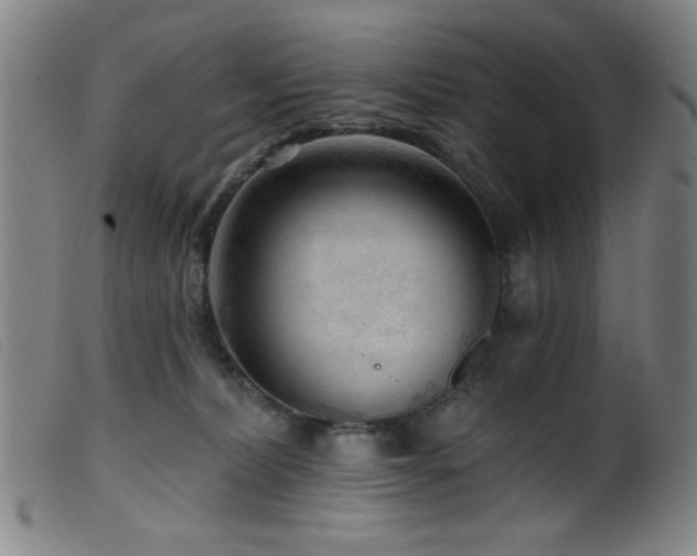 X0000099540228200805161435