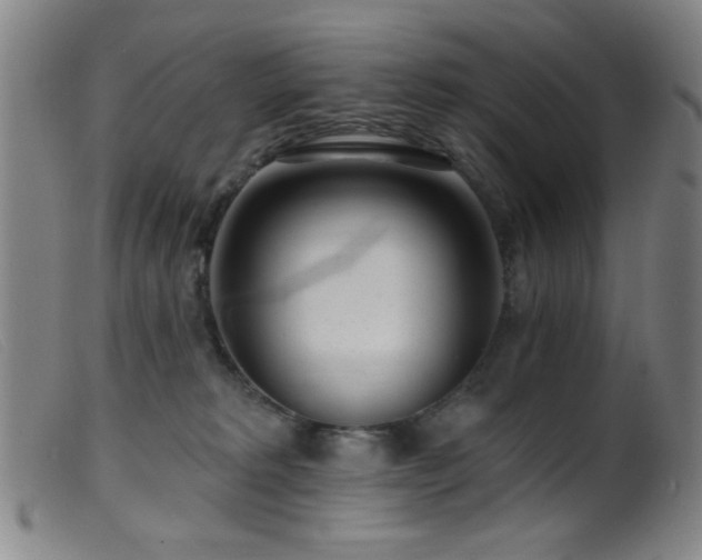 X0000099540229200805161435