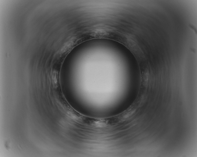 X0000099540232200805161435