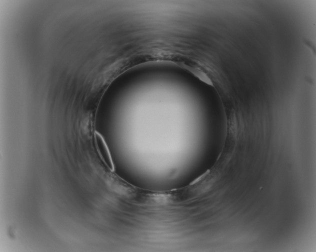 X0000099540233200805161435