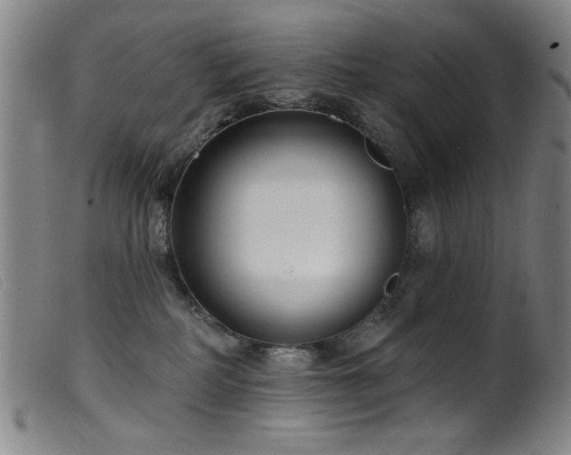 X0000099540234200805161435