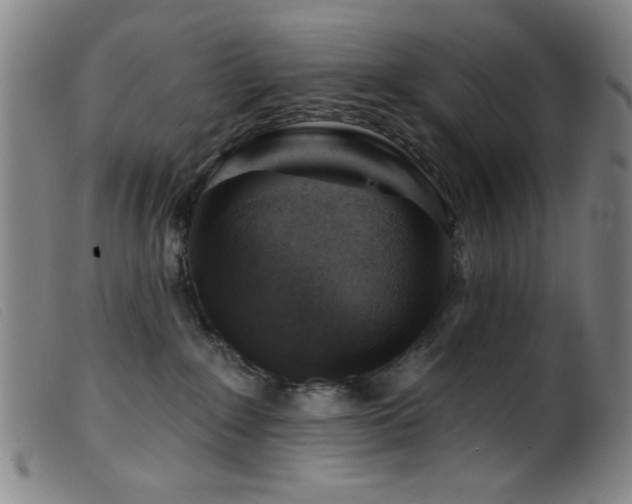 X0000099540235200805161435