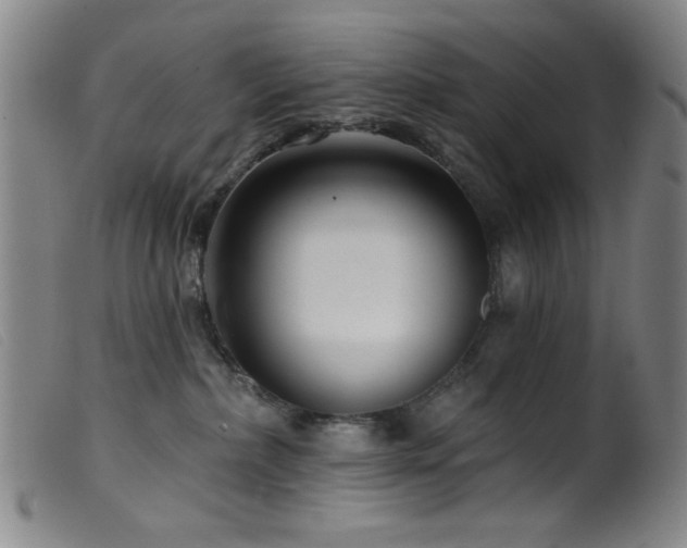 X0000099540236200805161435