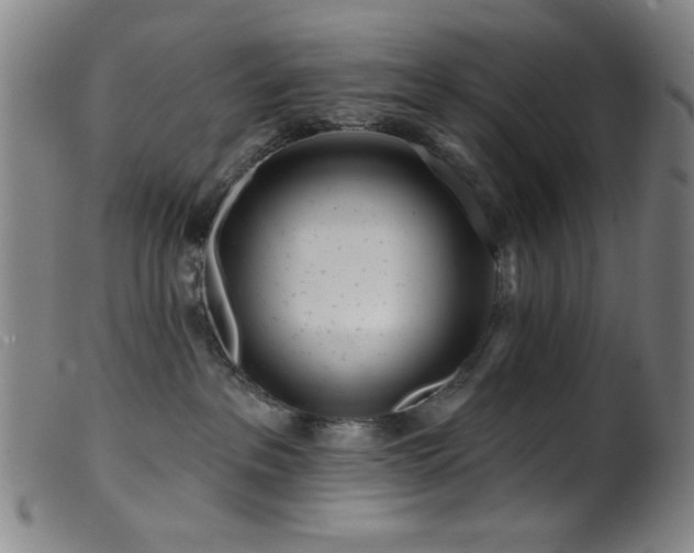 X0000099540237200805161435