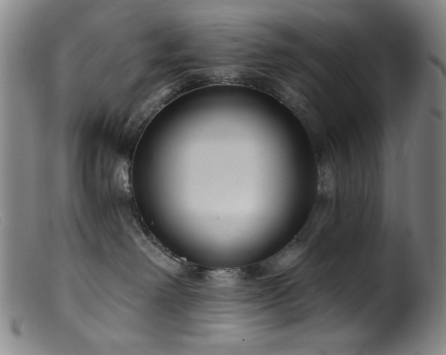 X0000099540238200805161435