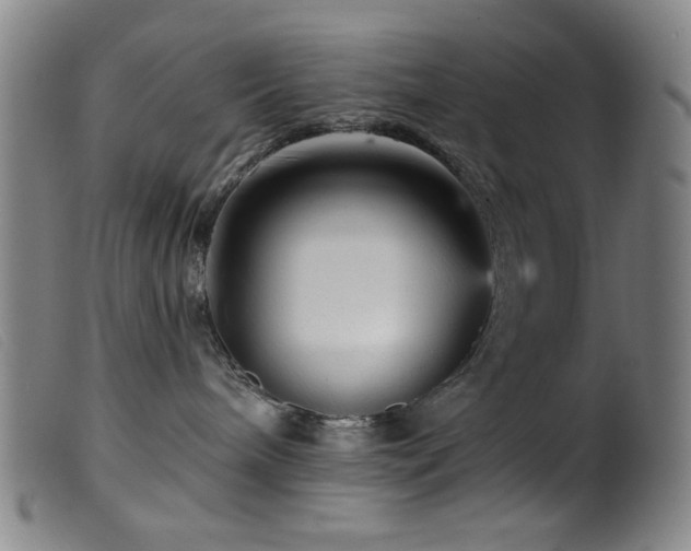 X0000099540240200805161435