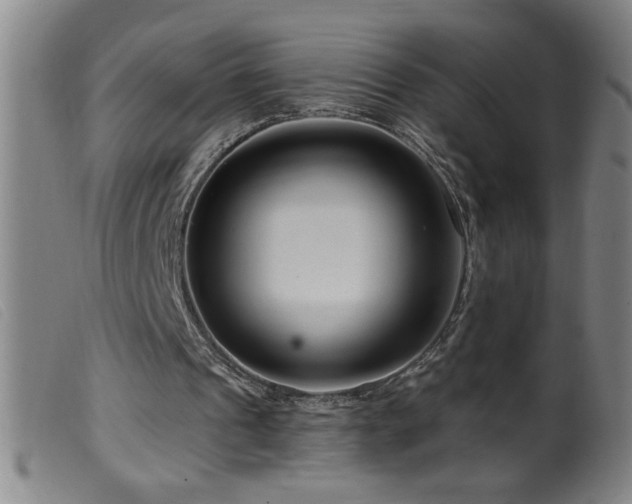 X0000099540241200805161434