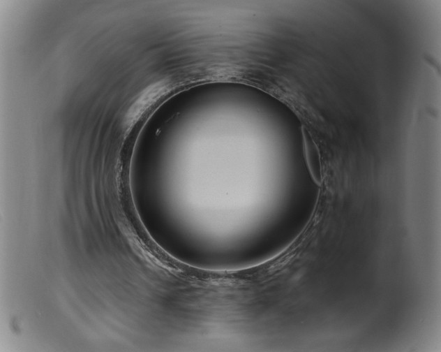 X0000099540242200805161434