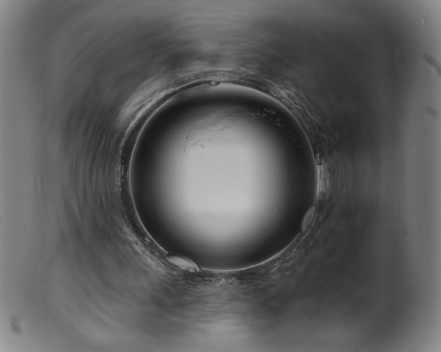 X0000099540243200805161434