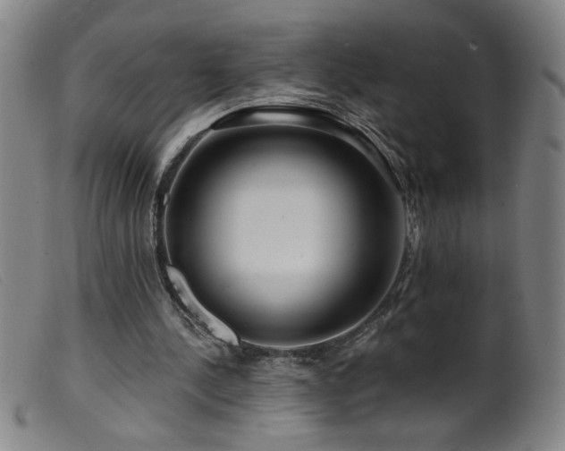 X0000099540244200805161434