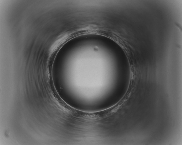 X0000099540245200805161434