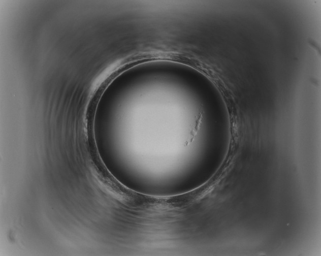 X0000099540246200805161434