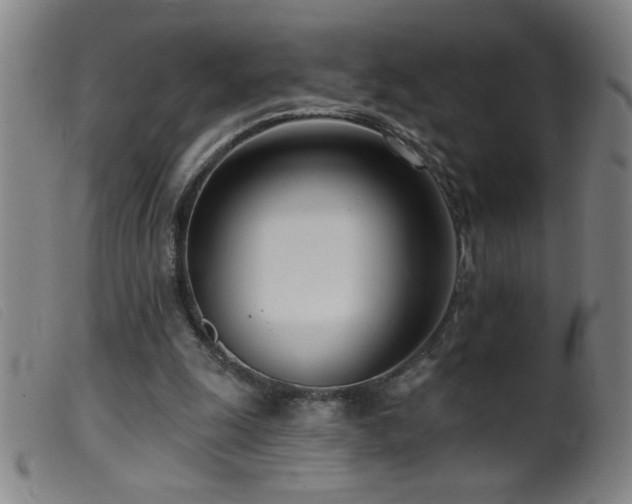 X0000099540247200805161434