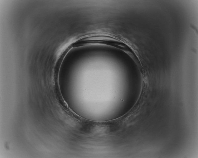 X0000099540248200805161434