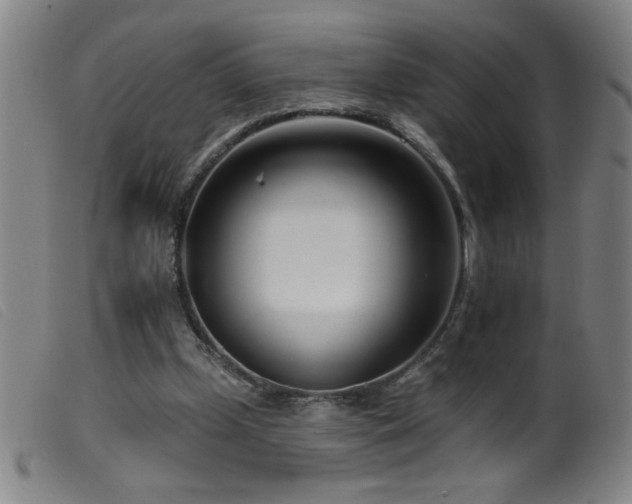 X0000099540249200805161434