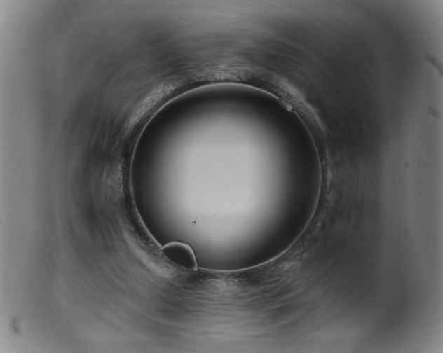 X0000099540250200805161434