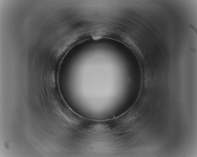 X0000099540251200805161434