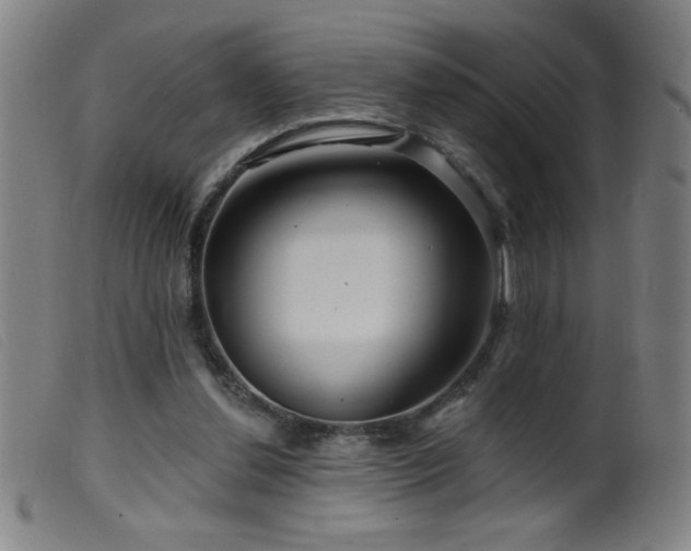 X0000099540252200805161434