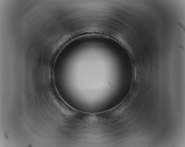 X0000099540253200805161434