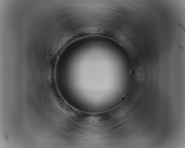 X0000099540255200805161435