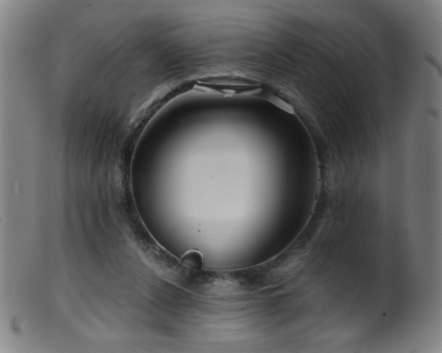 X0000099540256200805161435