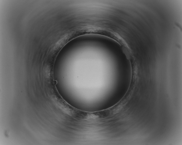 X0000099540257200805161435