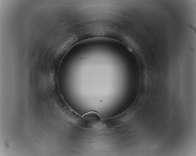 X0000099540258200805161435