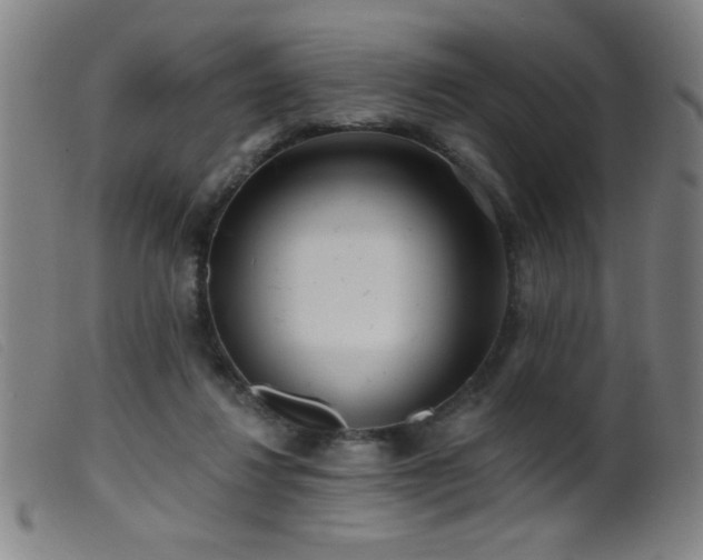 X0000099540260200805161435