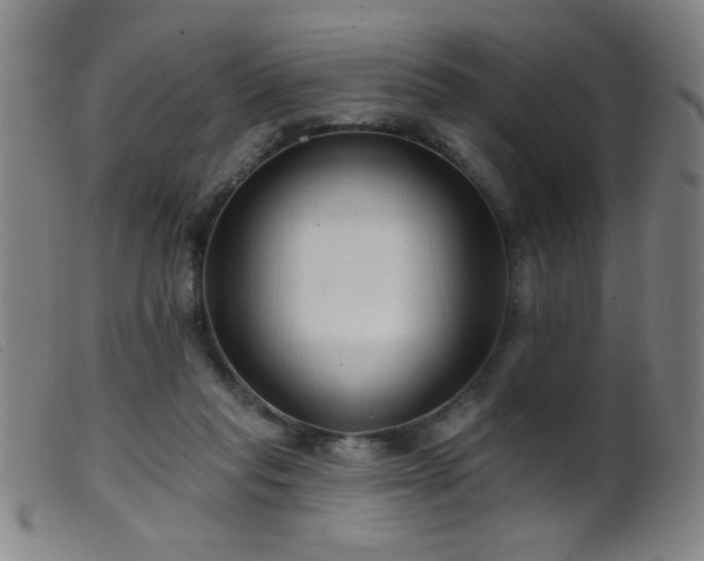 X0000099540261200805161435