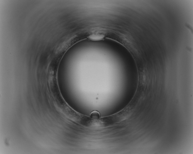 X0000099540263200805161435