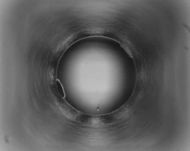 X0000099540264200805161435