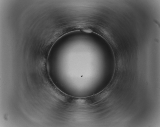 X0000099540265200805161435