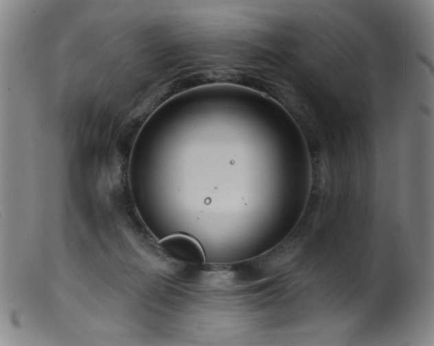 X0000099540266200805161435