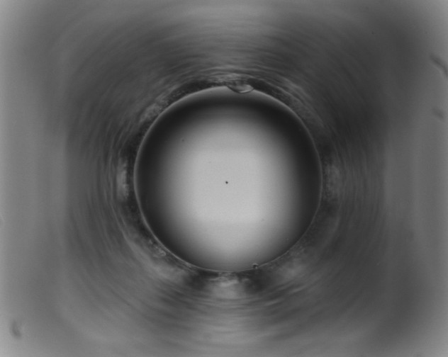 X0000099540267200805161435