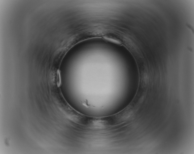 X0000099540268200805161435