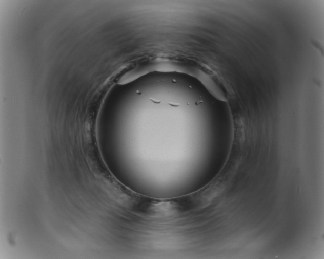 X0000099540269200805161435