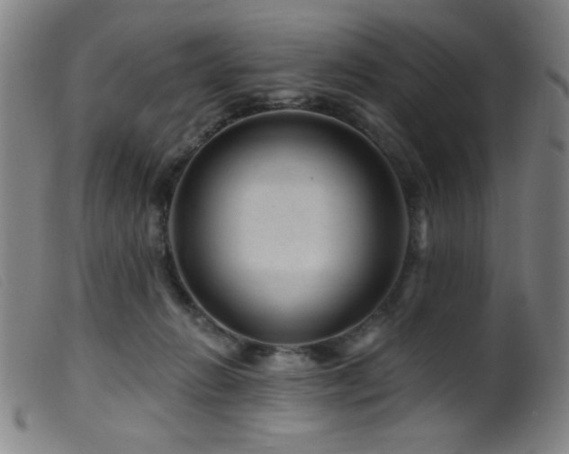 X0000099540270200805161435