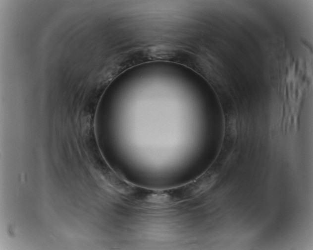 X0000099540271200805161435