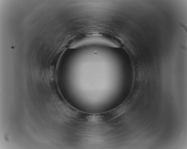 X0000099540273200805161435