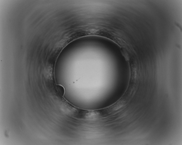 X0000099540274200805161435