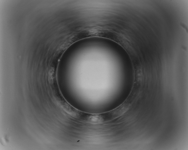 X0000099540275200805161435