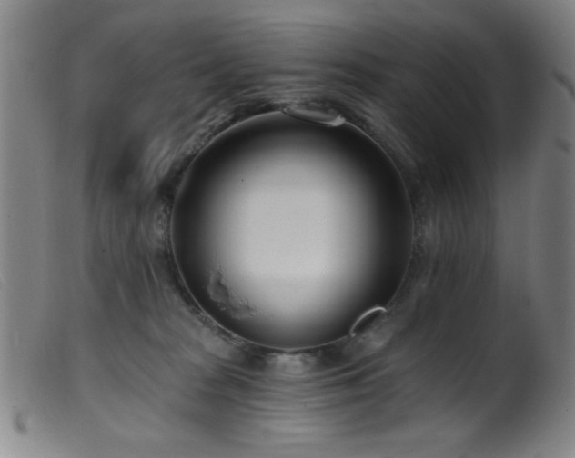 X0000099540277200805161435