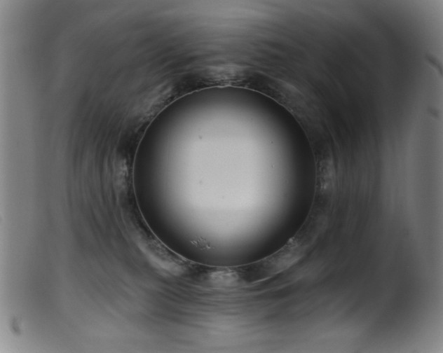 X0000099540279200805161435