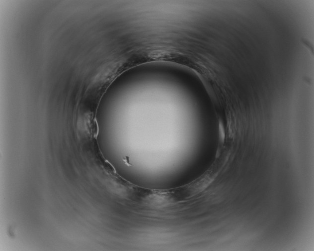 X0000099540280200805161435