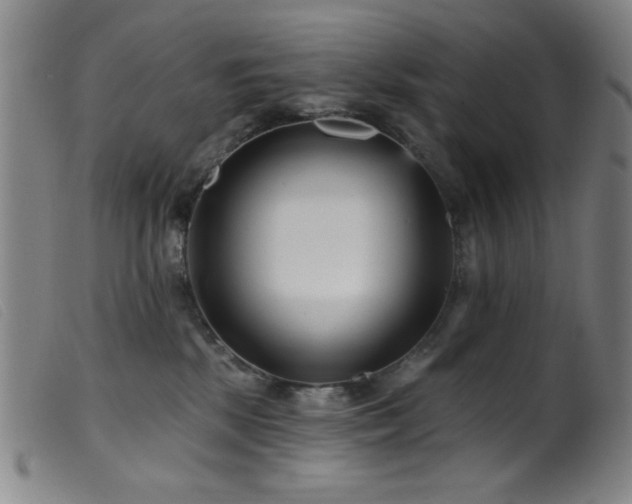 X0000099540281200805161435