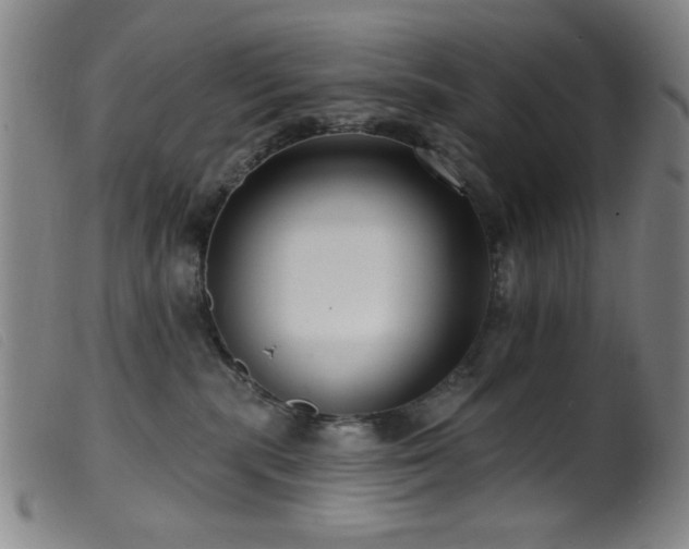 X0000099540283200805161435