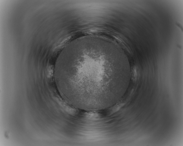 X0000099540284200805161435